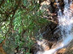 -火炉山森林公园