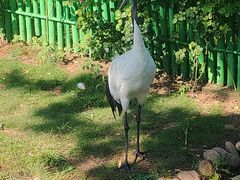 -西霞口神雕山野生动物世界