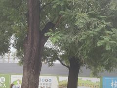 -王府井天主教堂