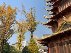-龙潭水乡