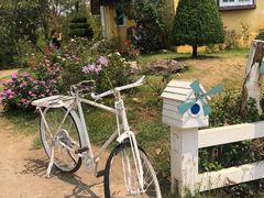 -黄色小屋