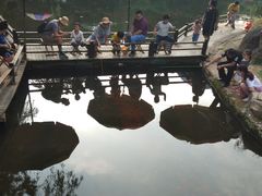 -白马涧龙池景区