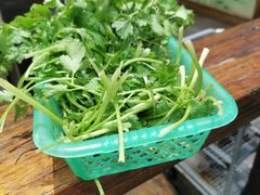 香菜-楚湘苑(商品街大道店)