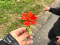 -广富林郊野公园