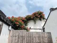 -青果巷历史文化街区