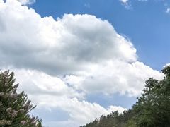 -黄陂区野村谷景区