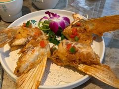 椒盐鱼翅-淘米捞·米汤脆鲩鱼火锅(福田皇岗店)