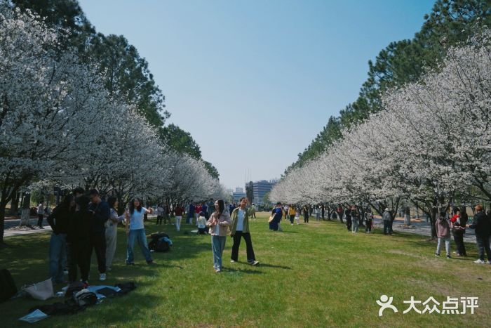 同济大学(嘉定校区)图片