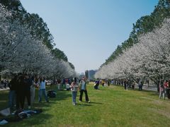 -同济大学(嘉定校区)