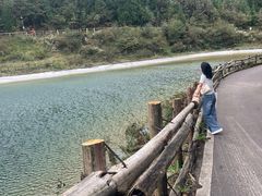 -武陵山森林公园