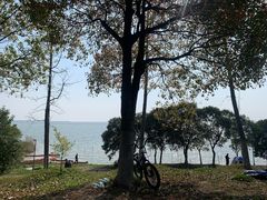 -滆湖低碳生态公园