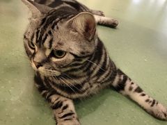 -藦茜花园宠物主题亲子互动体验馆(国顺东路店)
