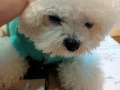 -伽利略剧本探案馆(国贸店)