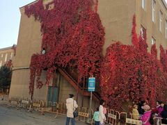 -辽宁大学(崇山校区)