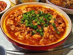 姜仔蛙-58度品质川菜馆(经一路店)