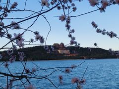-颐和园