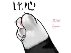 -青松大叔的店(东财店)