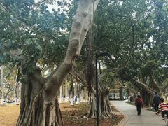 -万绿园