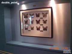 -上海昆虫博物馆