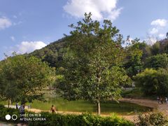 -神光山国家森林公园