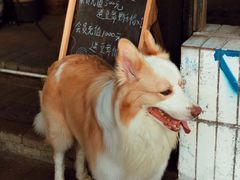 -豆舞咖啡(民乐路店)