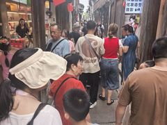 -乌镇东栅景区