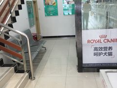 -创凡宠物医院·骨专科  猫科中心(西乡分院)