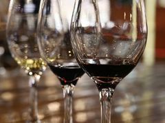 -紫轩葡萄酒庄园