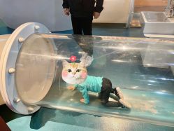 -北京科学中心儿童乐园