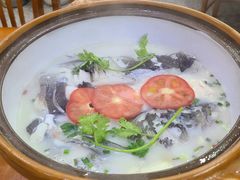 -全乐鱼馆·淳牌有机鱼直营店