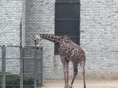 -石家庄市动物园