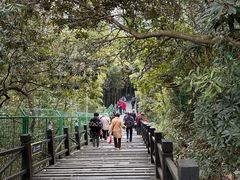 -树山生态村