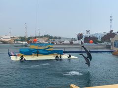 -秦皇岛乐岛海洋王国