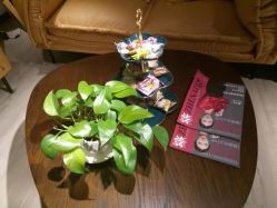 -Cocodemer 产后恢复中心(多伦路店)