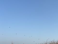 -东堤公园