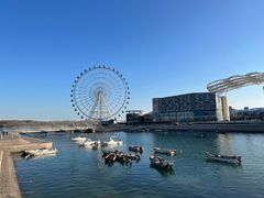 -琴岛之星摩天轮