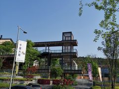 -铁山坪森林公园