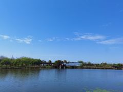 -杭州湾海上花田景区