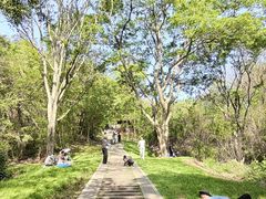 -青龙山国家森林公园