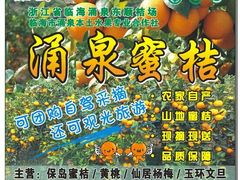 -涌泉保岛蜜桔