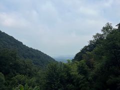-韬光茶庵