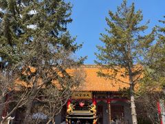 -哈尔滨极乐寺
