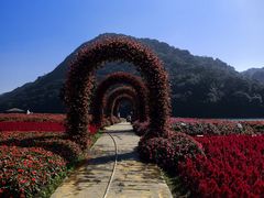 -广州市石门国家森林公园