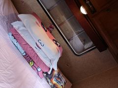 -崇明东平国家森林公园烧烤房车露营地