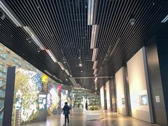 -深圳市当代艺术与城市规划馆