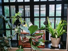 -一尺花园(安和花园店)