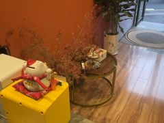-青曼SPA·按摩·采耳·足道(龙之梦店)