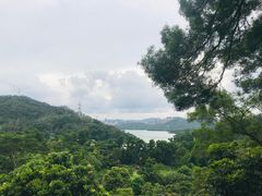 -深圳仙湖植物园-停车场