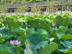 -东坡赤壁风景名胜区