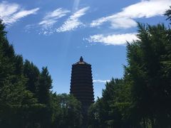 -玲珑塔公园
